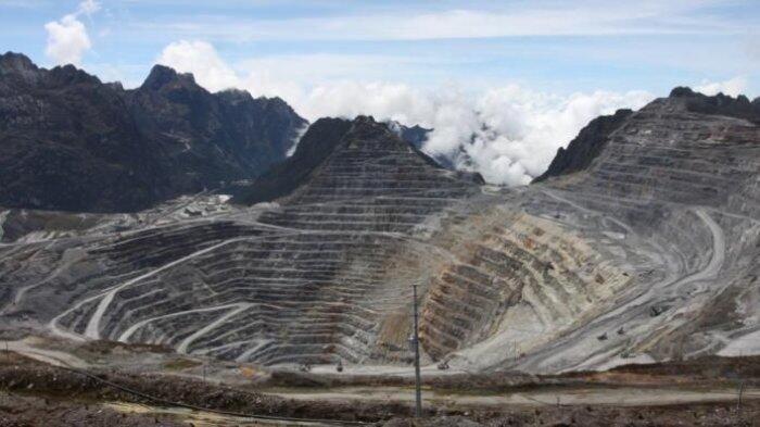115 Pekerja Asing Tinggalkan Freeport dan Perusahaan Subkontraktor