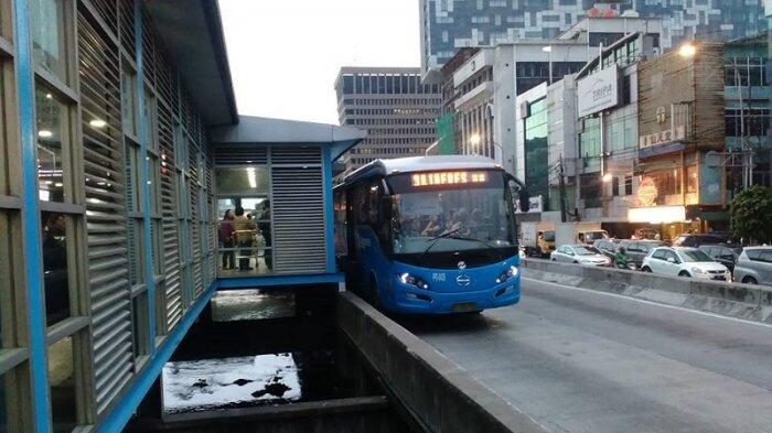 Sambil Nyetir, Sopir Tranjakarta Main Handphone, Nyaris Tabrak Rombongan Pejalan Kaki