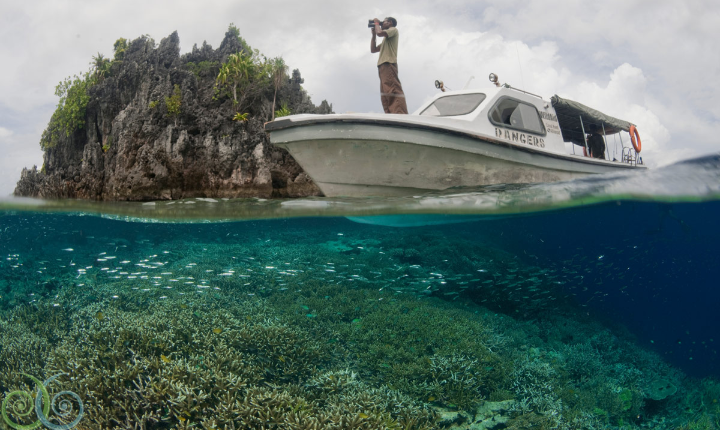 Ternyata Caledonian Sky Sengaja Masuk Zona Terlarang Raja Ampat?