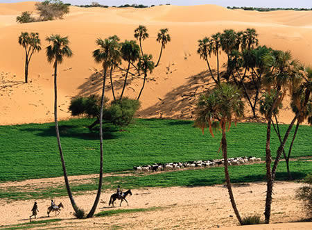Sebelum manusia datang, Gurun Sahara adalah Green Sahara