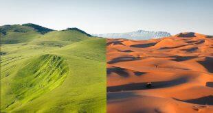 Sebelum manusia datang, Gurun Sahara adalah Green Sahara