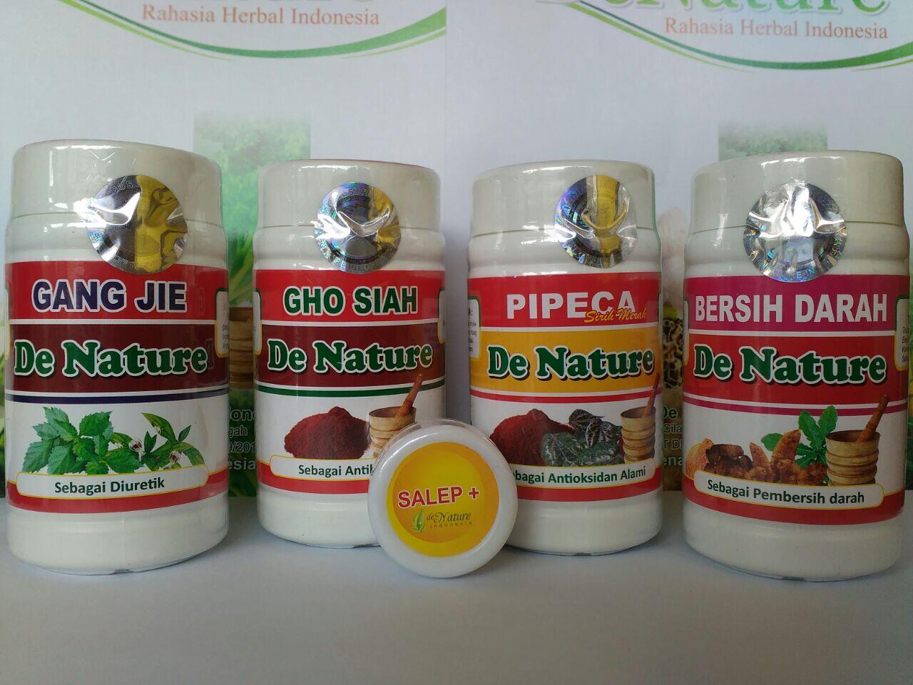 Obat herbal penyakit menular seksual |Gonore |Sipilis |ISK |Kutil kelamin