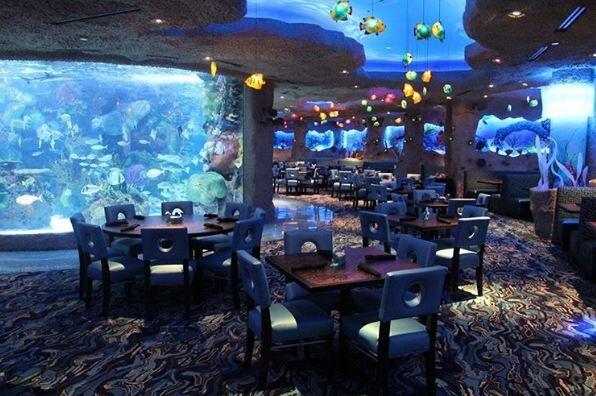 Restoran bawah laut yang bikin agan nggak fokus makan karena keindahannya