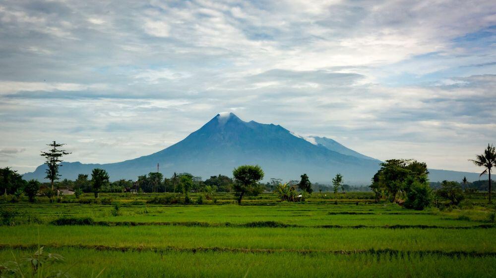 Istri orang terkaya dunia kunjungi Yogyakarta, ini yang dilakukannya.