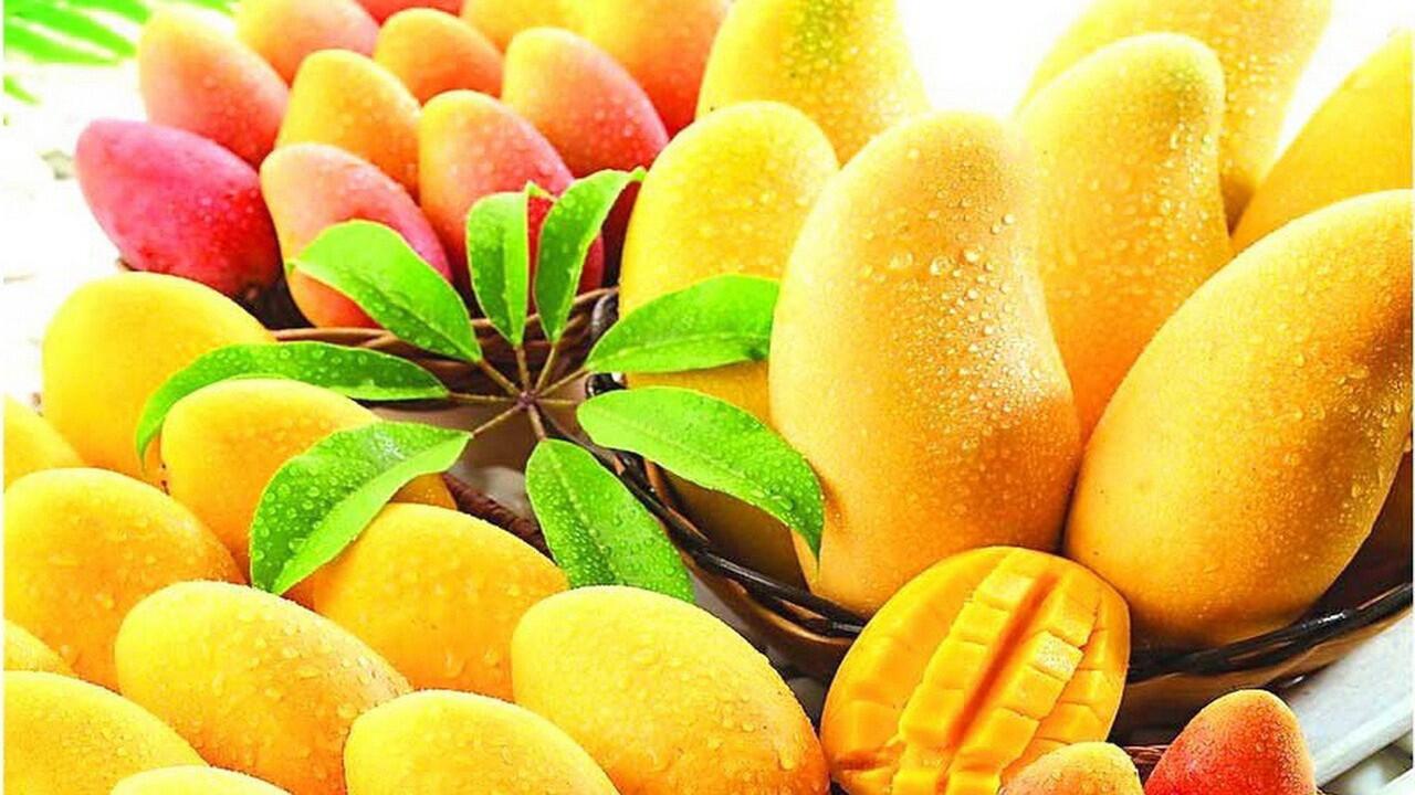 BiaR SeHat, Begini Makan Buahnya