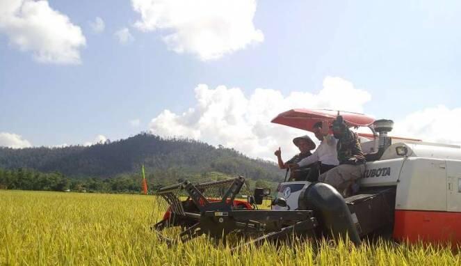 Persediaan Beras RI Diklaim Aman Hingga 2019