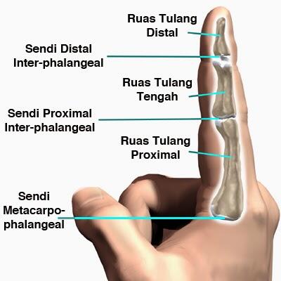 Kebiasaan Menggeretak Jari, Bahaya Atau Tidak?