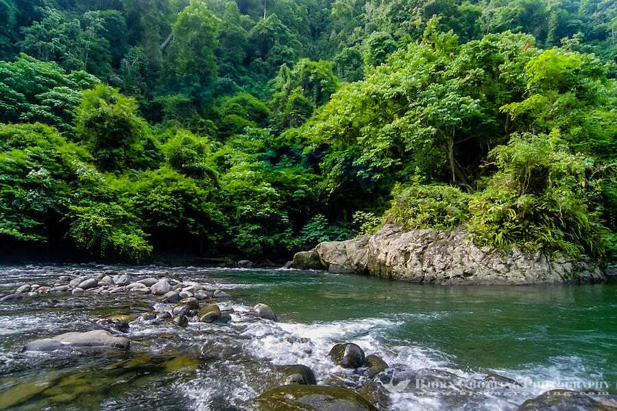 Sungai Serayu Bakal Jadi Sungai Wisata Pertama di Pulau Jawa Gans !