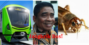 Pemprov DKI Siapkan Dana Rp 11 M untuk Revitalisasi Setu Babakan