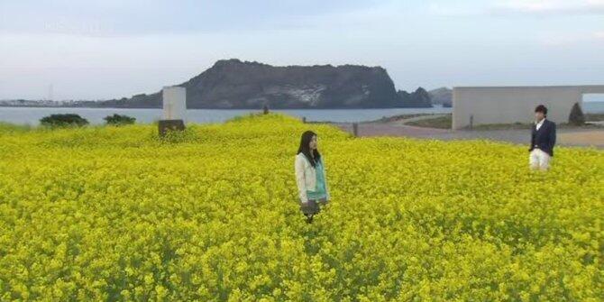 5 Jenis 'racun' yang dibawa drama Korea ke seluruh dunia