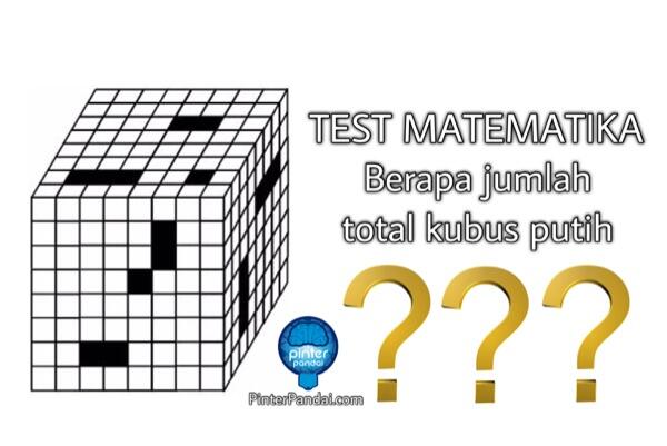 Berapa jumlah total kubus putih di puzzle ini?