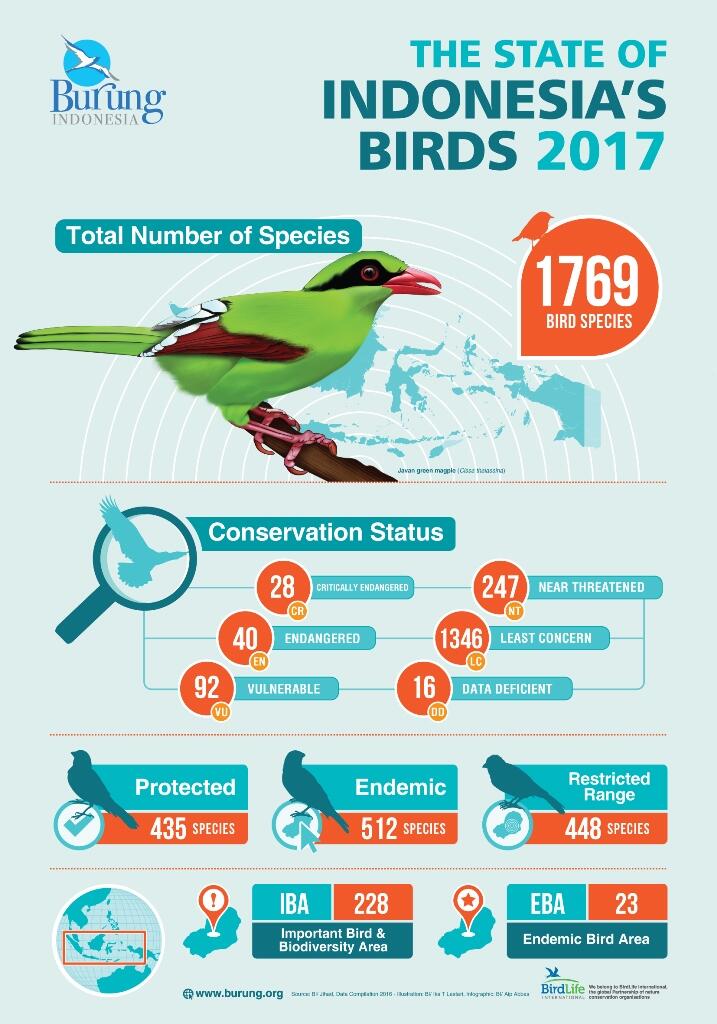 Jumlah Jenis Burung di Indonesia Bertambah, Ancamannya Juga Tak Kalah