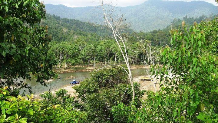 Suku Mante Pernah Ditemukan Tewas Terjerat Perangkap Badak di Leuser