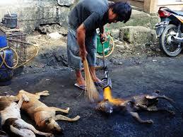 Media Asing: Indonesia Negara Muslim Tapi Gemar Makan Anjing