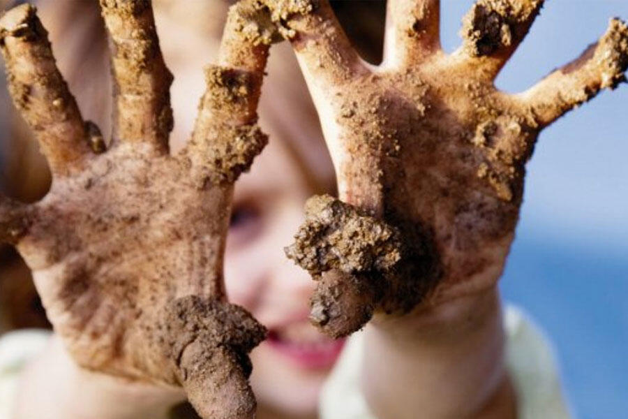 6 Khasiat Akar Bambu Kuning Untuk Kesehatan