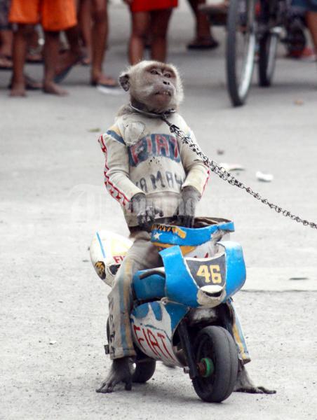 Cicilan Motor Murah Buat Orang Malas Pakai Angkutan Umum