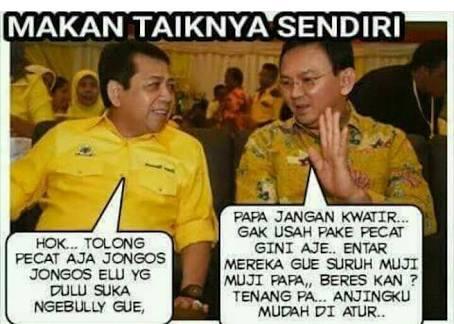 Bertemu Setya Novanto, Ini yang Dibahas Ahok