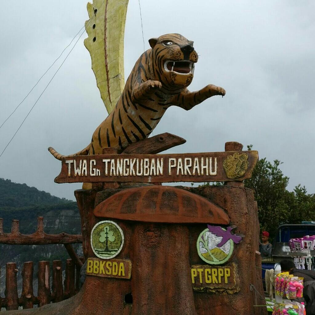 Kemunculan Macan Di Tangkuban Perahuu