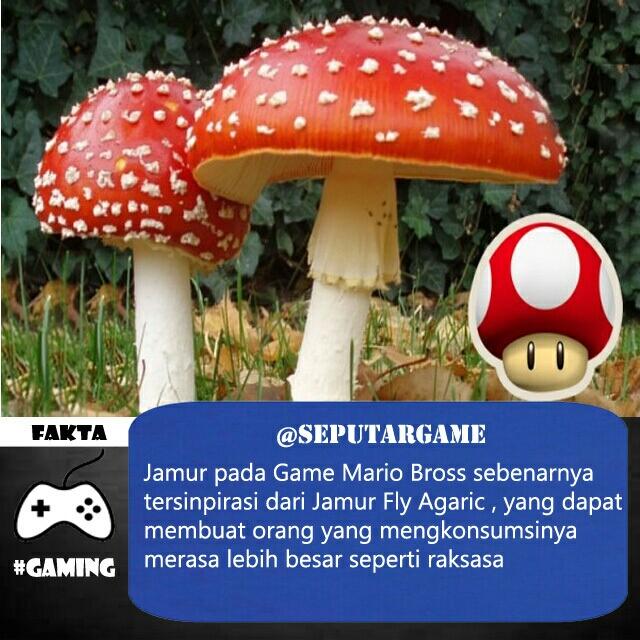 Fakta Fakta Game Yang Jarang Diketahui GAMERS