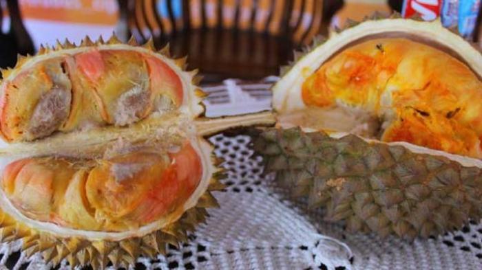 Bayar Rp 60.000 Bisa Makan Duren Sepuasnya di "Festival Gila Durian" Depok