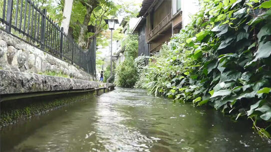 Gujo Hajiman, Kota Jepang yang Tidak Boleh Dilewatkan