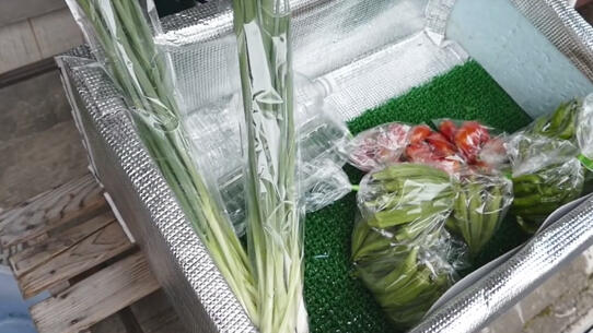 Gujo Hajiman, Kota Jepang yang Tidak Boleh Dilewatkan