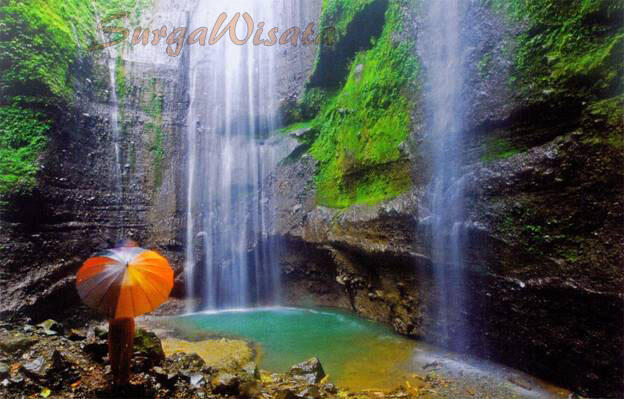 Pesona Dan Aura Mistis Air Terjun Madakaripura Probolinggo