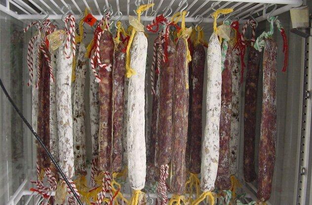 Makanan dan Minuman Yang Terbuat Dari Muntahan, Kotoran dan Ludah