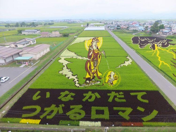 Tanbo Art, Seni Melukis Sawah di Jepang yang Luar Biasa