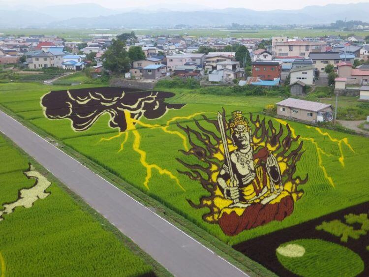 Tanbo Art, Seni Melukis Sawah di Jepang yang Luar Biasa