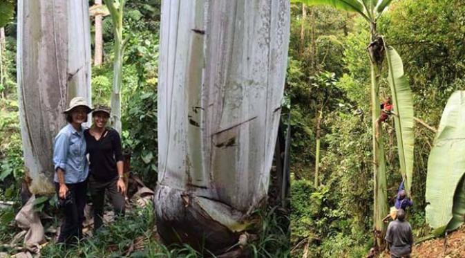 Yoii! Inilah Keindahan Potensi Wisata di Papua Barat