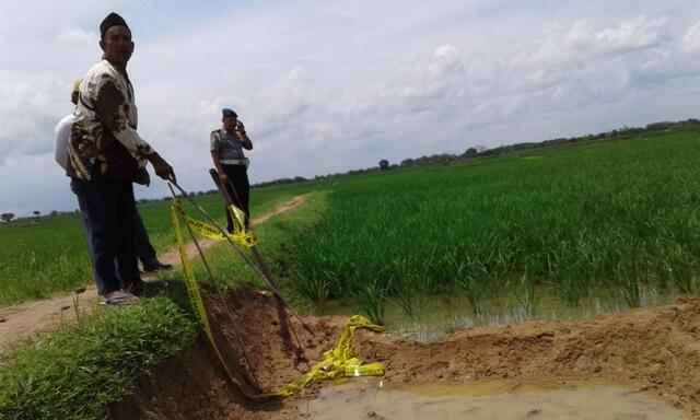 Heboh! Mbah Diman Temukan Koin Emas Kuno Seberat 6 Kg,Tapi Hanya Dijual Rp 30.000/Kg