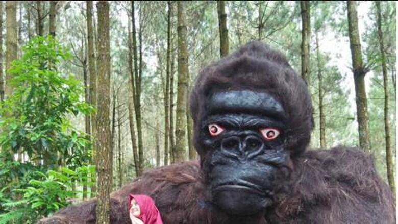 Heboh Penampakan King Kong di Hutan Pinus Magelang