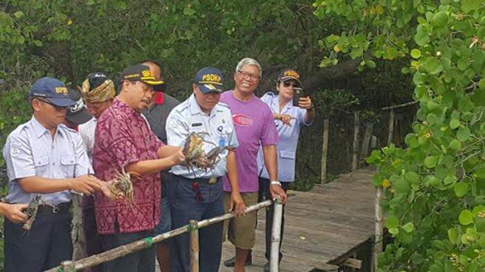 160 Ekor Kepiting Bertelur Asal Papua Dilepasliarkan di Perairan Wanasari Tuban