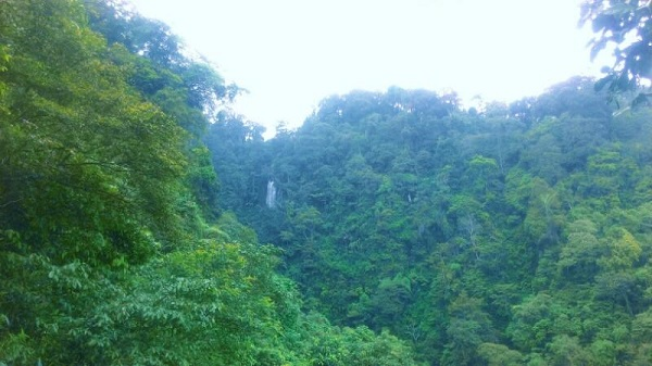 Jalan-jalan Akhir Pekan: Curug Ciherang - Bogor, Air Terjun di Tebing Gunung