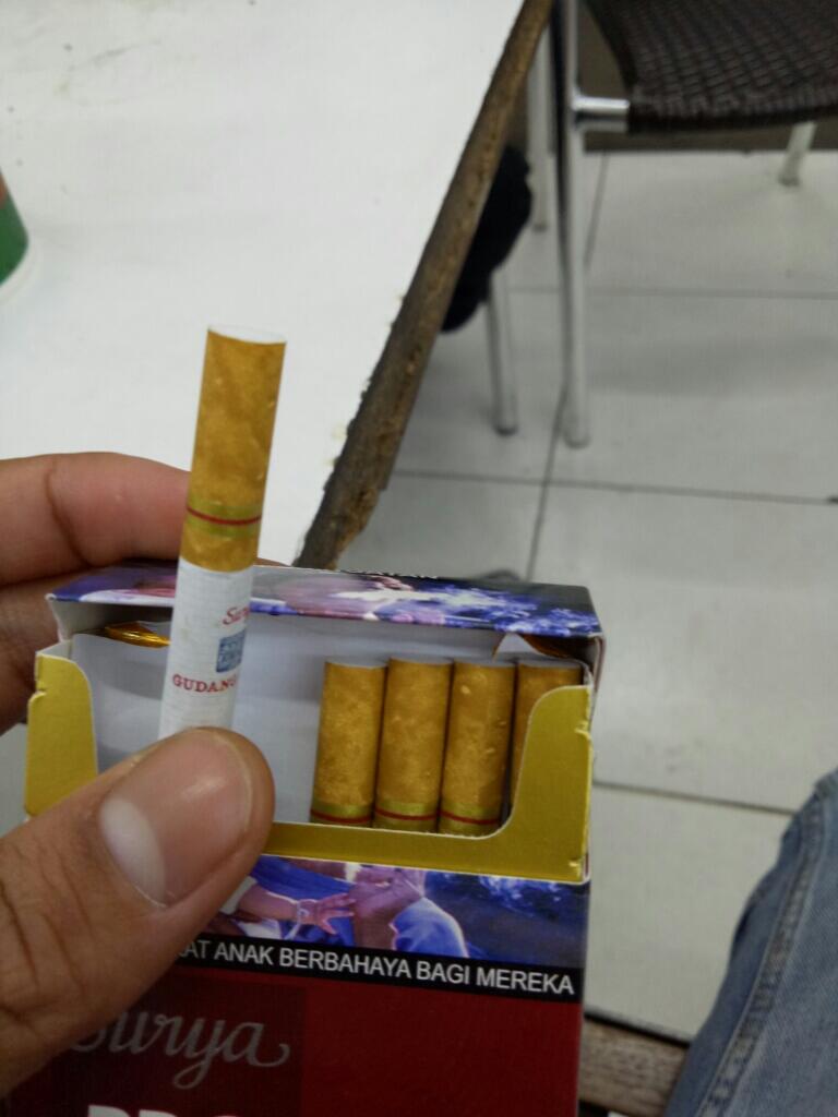 7 Warna Kucing yang Langka banget, Ada Warna Putih Muda Gak ya?