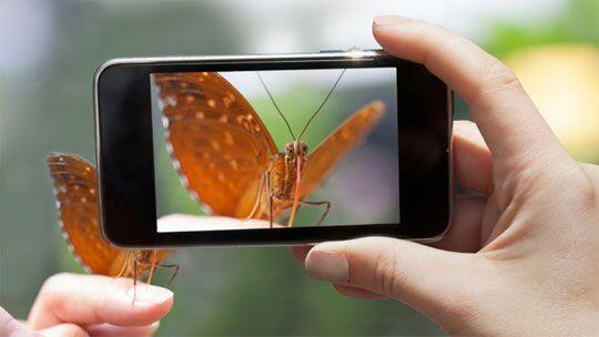7 Tips &amp; Trik Fotografi Profesional Menggunakan Kamera Smartphone