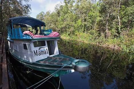 Ajakan trip ke Tanjung Puting 14-16 april