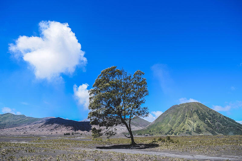 Menikmati Bromo Dengan Cara Berbeda