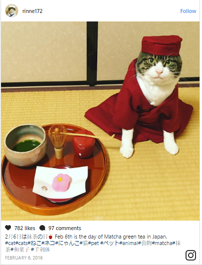 Belajar Budaya Jepang Dari Cosplay Kucing Lucu Ini