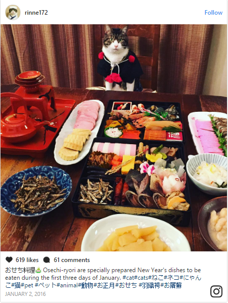 Belajar Budaya Jepang Dari Cosplay Kucing Lucu Ini