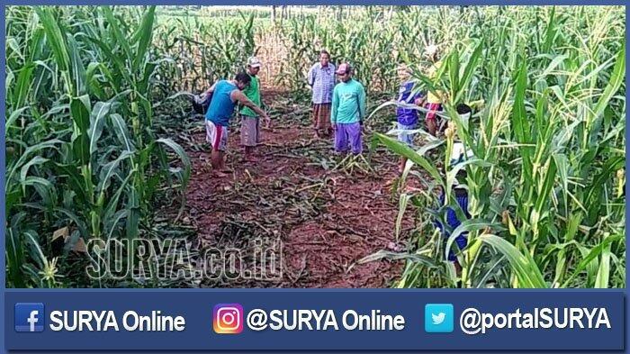 Pasca Penyergapan Terduga Teroris di Tuban, Bupati dan Kapolda Jatim Bertemu