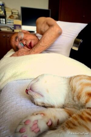Kakek Tua Ini Sakit dan Pemarah, Sampai Suatu Hari Seekor Kucing Mengubah Hidupnya