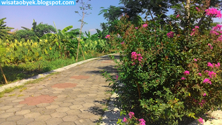 Taman Harmoni Keputih, Wisata Bunga Sakura Surabaya