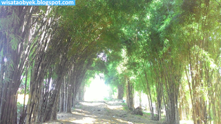 Taman Harmoni Keputih, Wisata Bunga Sakura Surabaya