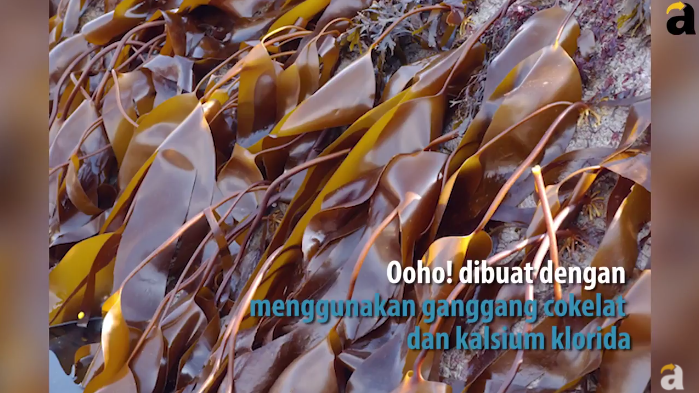 Inilah Botol Minum Paling Ramah Lingkungan dan Bisa Dimakan