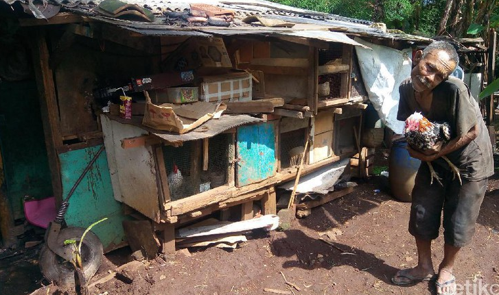Tinggal di Gubuk Derita, Abah Tarsa Hanya Ditemani Kucing