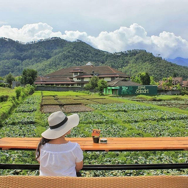 Ini dia Tempat Makan dan Nongkrong di Wilayah Malang dengan Pemandangan Spektakuler 