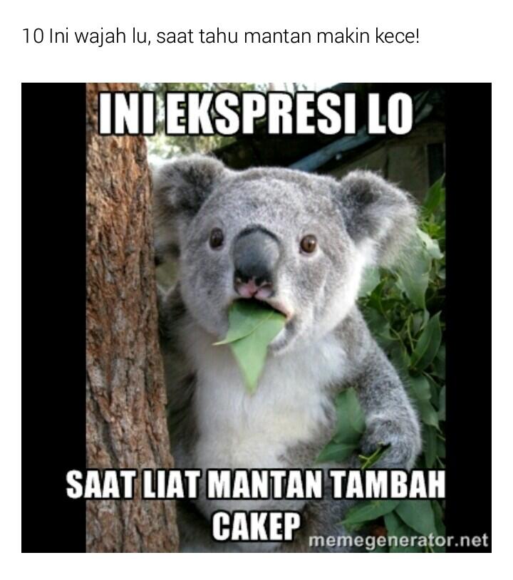 10 Foto Meme ( Mantan ) Ngakak Gan