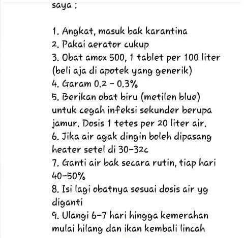 Forum Koi Kaskus Part 5 (Semua Tentang Koi Masuk Kesini)
